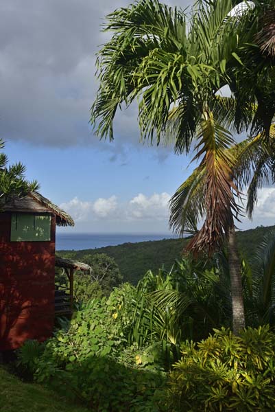 Location de gîte en nature Guadeloupe