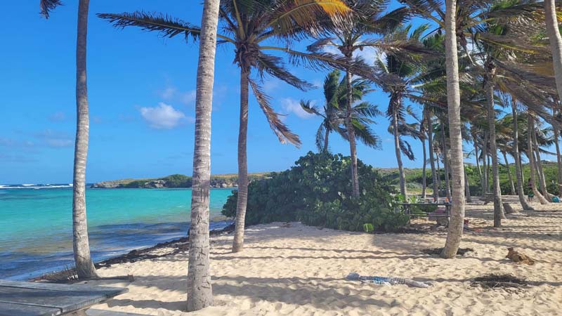 Location de gîtes pour vacances Guadeloupe